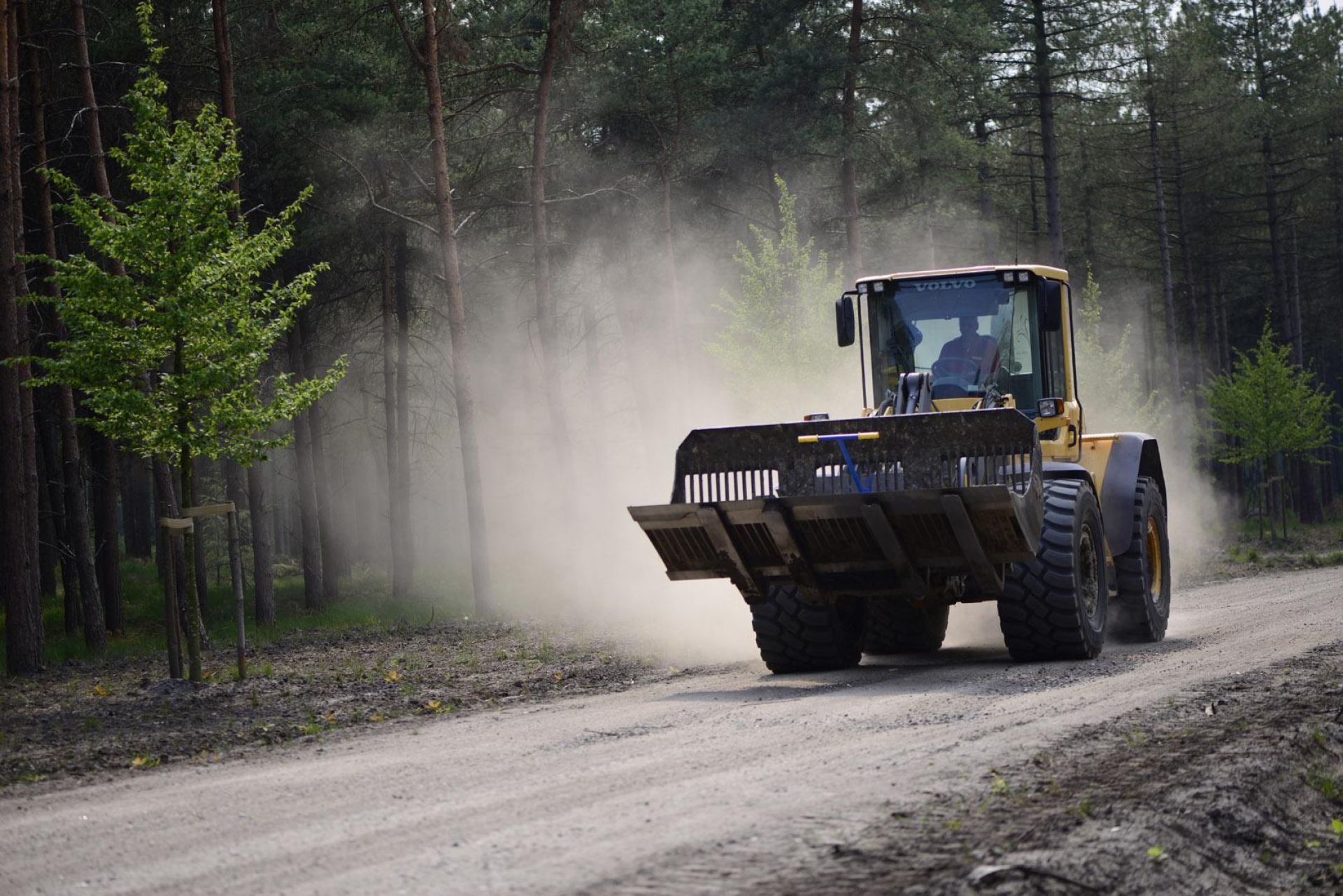 Project natuurbegraafplaats realiseren