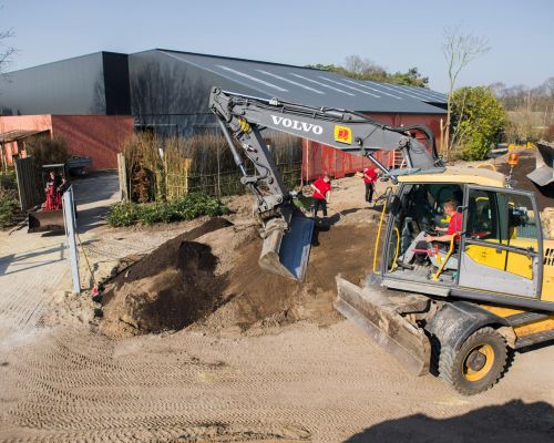 Beekse Bergen graven olifantenverblijf